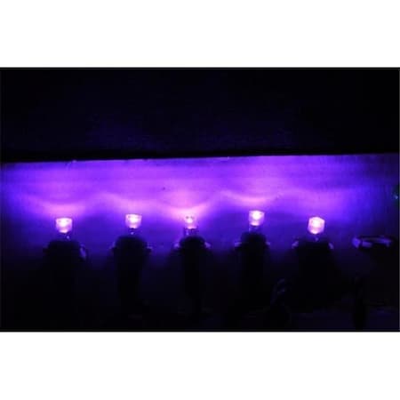 Forever Bright Kellogg Plastics 45312 0.25 in. Holiday & Christmas Indoor & Outdoor LED- Purple 45312